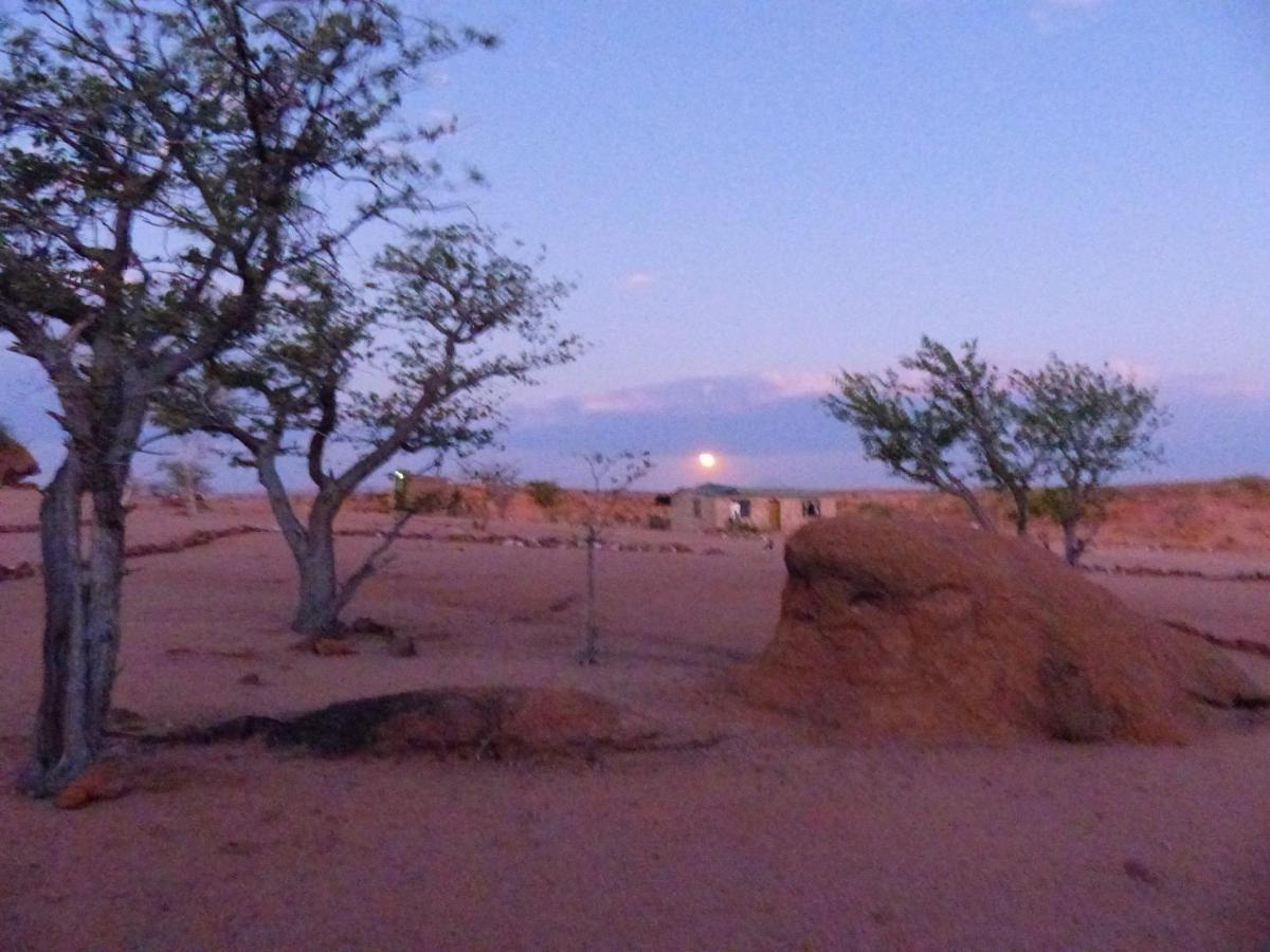 Ozohere Campsite And Himba Village Uis Kültér fotó